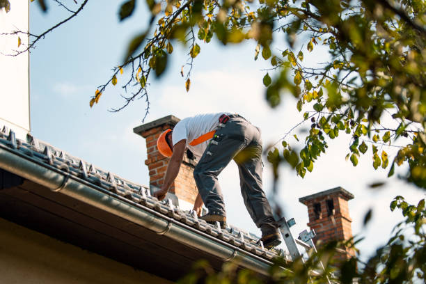 Professional Roofing Contractor in Fredonia, NY